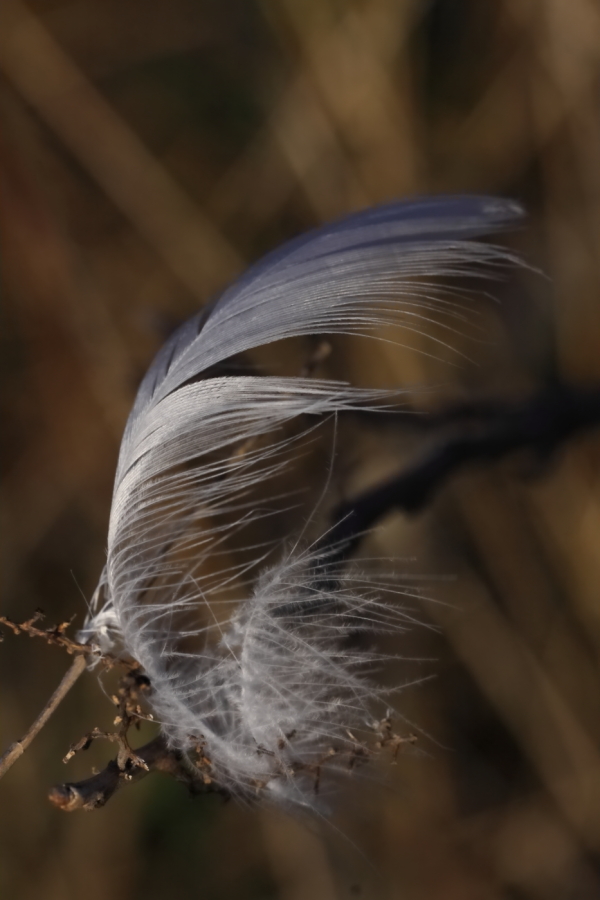 2012 03 06 7882